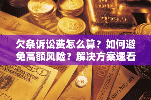 北京欠条诉讼费怎么算？如何避免高额风险？解决方案速看！